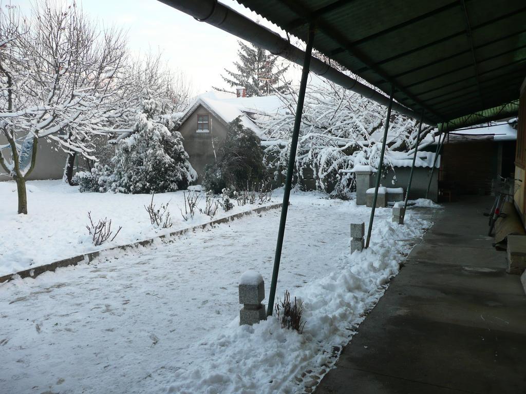 Guest House Tisza Ház Senta Extérieur photo